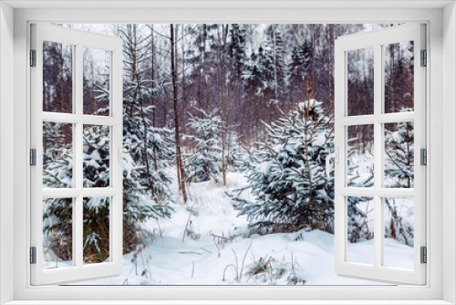 Fototapeta Naklejka Na Ścianę Okno 3D - Winter snowy pine forest