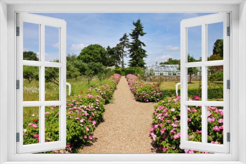 Fototapeta Naklejka Na Ścianę Okno 3D - Formal English Garden with Flower strewn Path