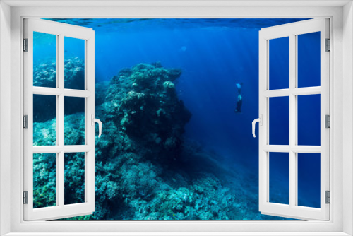 Fototapeta Naklejka Na Ścianę Okno 3D - Free diver dive in ocean, underwater view with rocks and corals