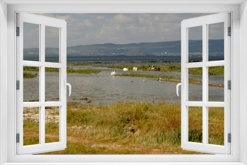 Fototapeta Naklejka Na Ścianę Okno 3D - Colorful alage at the shores of Lake Nakuru, Rift Valley, Kenya