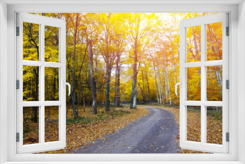 Fototapeta Naklejka Na Ścianę Okno 3D - Fall background.  Autumn country road color tour.  Bright and cozy warm.  Wishfull happiness.