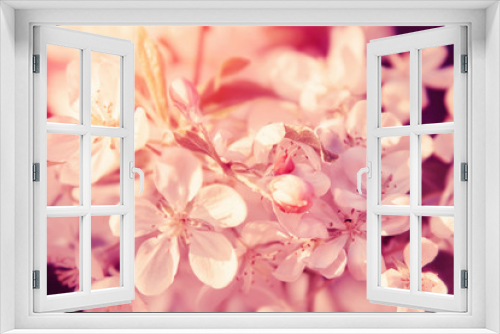 Fototapeta Naklejka Na Ścianę Okno 3D - Beautiful flowers blossom in spring