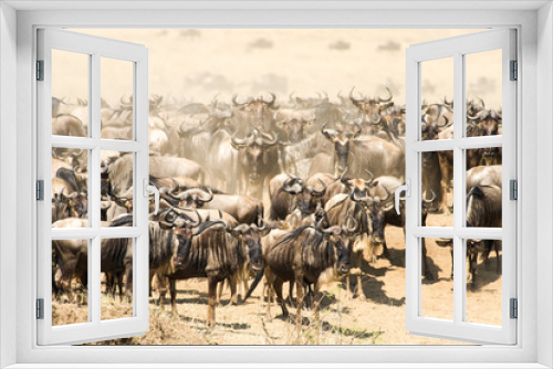 Fototapeta Naklejka Na Ścianę Okno 3D - Wildebeest Migration Waiting To Cross River
