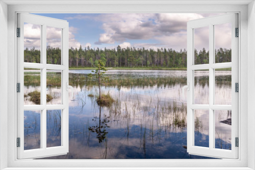 Fototapeta Naklejka Na Ścianę Okno 3D - Lapland summer landscape.Small lake in natural park.