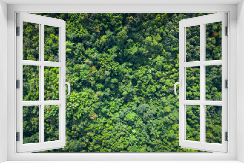 Fototapeta Naklejka Na Ścianę Okno 3D - aerial view green trees on the mountain in Thailand