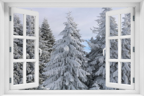 Fototapeta Naklejka Na Ścianę Okno 3D - Winter Landscape with Snow and Trees