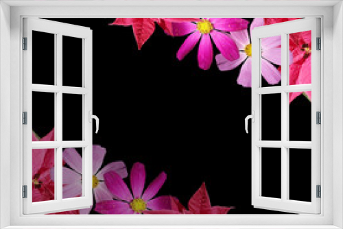 Fototapeta Naklejka Na Ścianę Okno 3D - Beautiful floral background of the poinsettia and kosmeya 