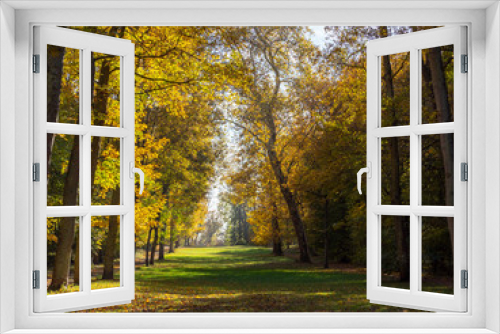 Fototapeta Naklejka Na Ścianę Okno 3D - paysage d'automne au Parc de Saint Cloud près de Paris