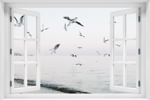 Fototapeta Naklejka Na Ścianę Okno 3D - flock of seagulls flying over sea