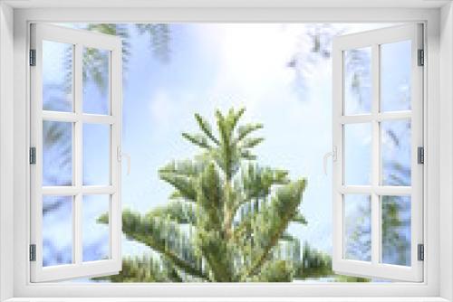 Fototapeta Naklejka Na Ścianę Okno 3D - Bright Pine Tree