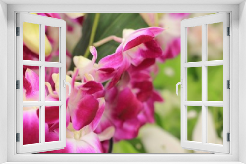 Fototapeta Naklejka Na Ścianę Okno 3D - Beautiful flowers macro close-up shot. 