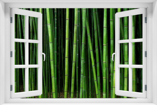 Fototapeta Naklejka Na Ścianę Okno 3D - bamboo forest pattern