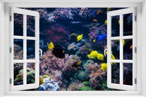 Fototapeta Naklejka Na Ścianę Okno 3D - underwater coral reef landscape  with colorful fish