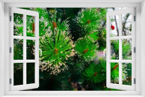 Fototapeta Naklejka Na Ścianę Okno 3D - christmas tree