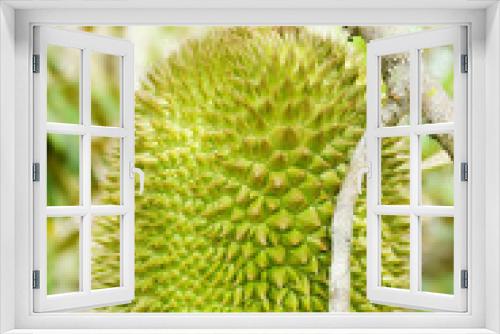 Fototapeta Naklejka Na Ścianę Okno 3D - king asian fruit