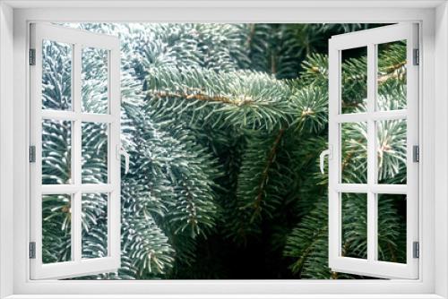 Fototapeta Naklejka Na Ścianę Okno 3D - Christmas fir tree branches Background
