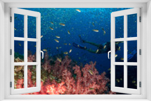 Fototapeta Naklejka Na Ścianę Okno 3D - seabed with underwater life