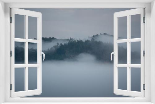 Fototapeta Naklejka Na Ścianę Okno 3D - Wolkenverhangener Wald