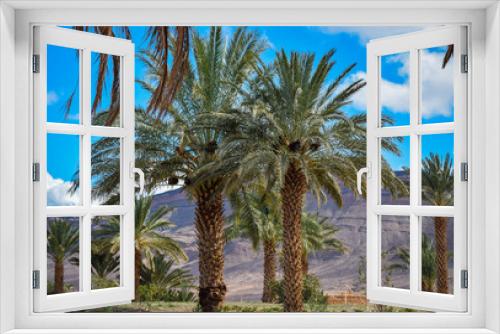 Fototapeta Naklejka Na Ścianę Okno 3D - Palm Forest in Morocco