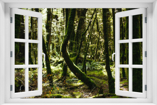 Fototapeta Naklejka Na Ścianę Okno 3D - Enchanted Forest
