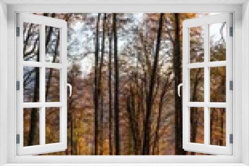 Fototapeta Naklejka Na Ścianę Okno 3D - Beautiful autumn forest. Krasnaya Polyana, Russia.
