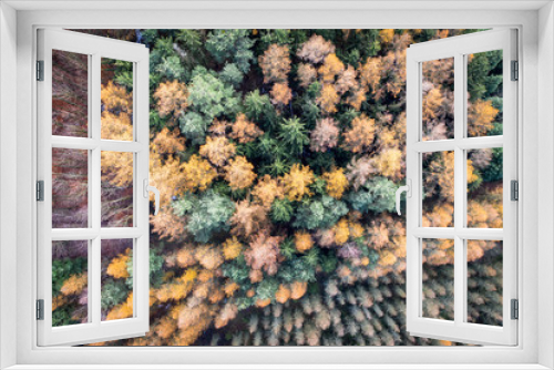 Fototapeta Naklejka Na Ścianę Okno 3D - Colors in autumn