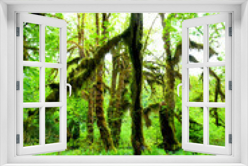 Fototapeta Naklejka Na Ścianę Okno 3D - Green forest