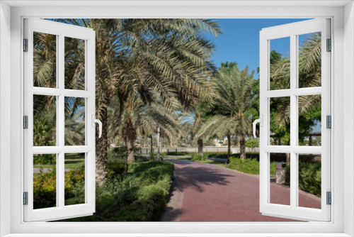 Fototapeta Naklejka Na Ścianę Okno 3D - Running track lined with palm trees in Al Barsha Pond Park, Dubai, United Arab Emirates
