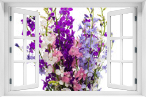 Fototapeta Naklejka Na Ścianę Okno 3D - Wild flowers isolated