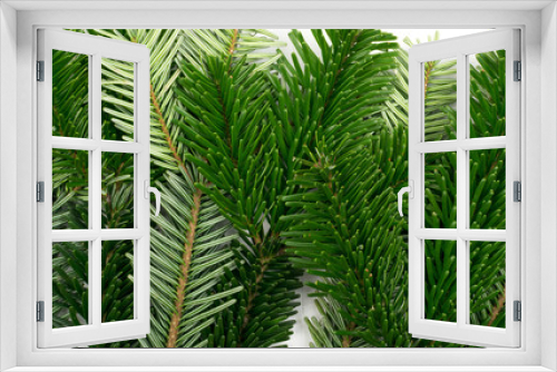 Fototapeta Naklejka Na Ścianę Okno 3D - Natural green spruce twig background or texture