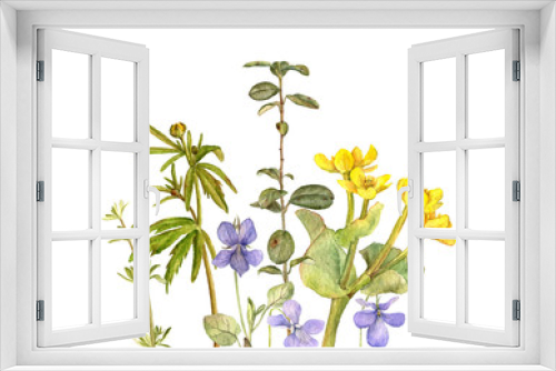 Fototapeta Naklejka Na Ścianę Okno 3D - watercolor drawing flowers and plants