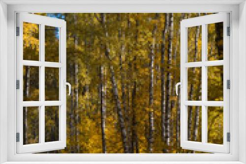 Fototapeta Naklejka Na Ścianę Okno 3D - beautiful mixed autumn forest lit by sunlight in Russia