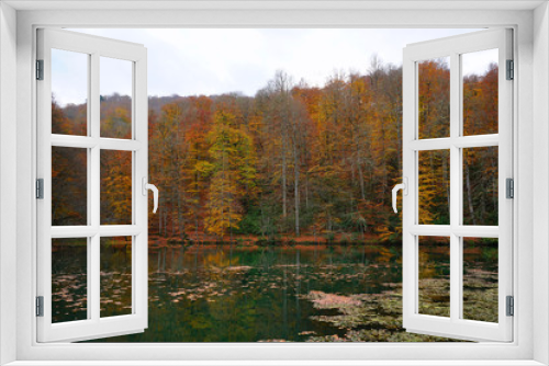 Fototapeta Naklejka Na Ścianę Okno 3D - autumn in the Yedigoller park, Bolu