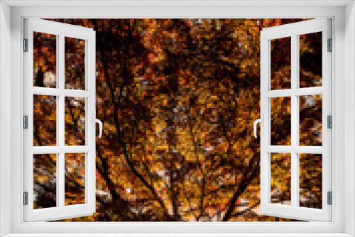 Fototapeta Naklejka Na Ścianę Okno 3D - Autumn Sun
