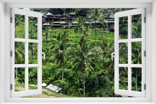 Fototapeta Naklejka Na Ścianę Okno 3D - Amazing Tegalalang Rice Terrace Fields and some Palm Trees Around, Ubud, Bali, Indonesia