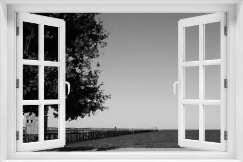 Fototapeta Naklejka Na Ścianę Okno 3D - Ricardo Mattos fotografia