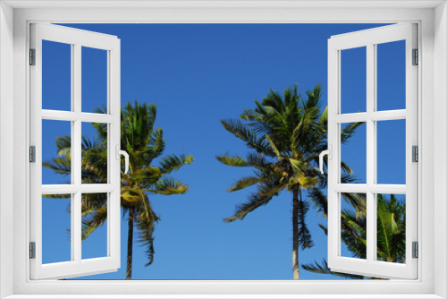 Fototapeta Naklejka Na Ścianę Okno 3D - palme