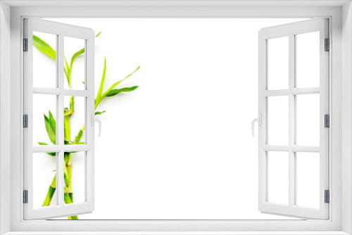 Fototapeta Naklejka Na Ścianę Okno 3D - Bamboo shoot. Bamboo stem and leaves on white background top view copy space