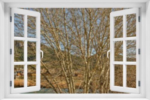 Fototapeta Naklejka Na Ścianę Okno 3D - Mount Helena Hiding Behind Bare Trees