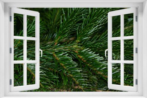 Fototapeta Naklejka Na Ścianę Okno 3D - Closeup of  spruce branches selective focus. green Christmas background