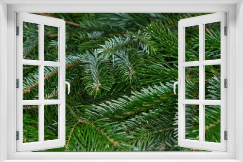 Fototapeta Naklejka Na Ścianę Okno 3D - Closeup of  spruce branches selective focus. green Christmas background