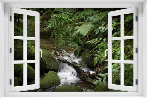 Fototapeta Naklejka Na Ścianę Okno 3D - Costa Rica 2106