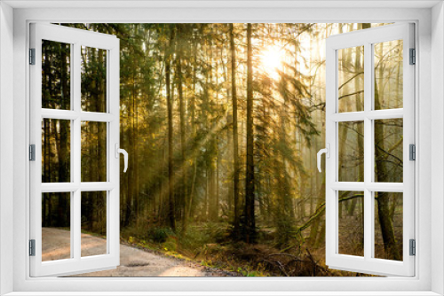 Fototapeta Naklejka Na Ścianę Okno 3D - sun rays in a forest