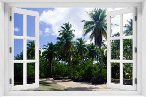 Fototapeta Naklejka Na Ścianę Okno 3D - Palmen in der Karibik, Dominikanische Republik, Samana