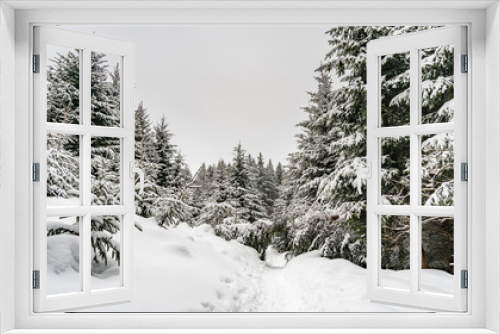 Fototapeta Naklejka Na Ścianę Okno 3D - Schwarzer Grat im Winter