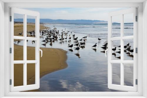 Fototapeta Naklejka Na Ścianę Okno 3D - Seagulls on the Seashore