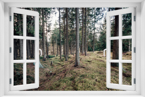 Fototapeta Naklejka Na Ścianę Okno 3D - Der Wald - Ort der Meditation