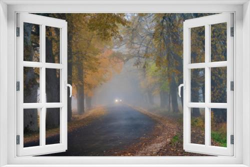 Fototapeta Naklejka Na Ścianę Okno 3D - misty autumn morning in the countryside; the rural road goes through a large tree alleys; the leaves of the trees are colored yellow and coincide with the edges of the road