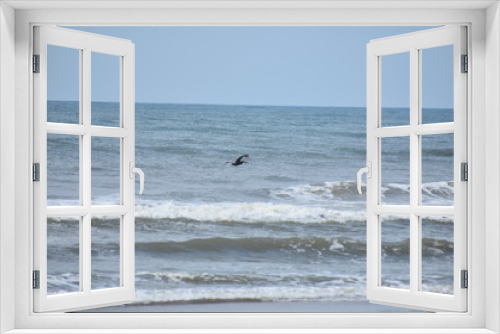 Fototapeta Naklejka Na Ścianę Okno 3D - pelican over water