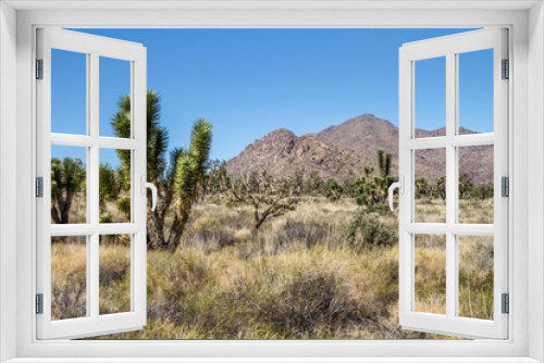 Fototapeta Naklejka Na Ścianę Okno 3D - Utah, Nevada, California (USA)